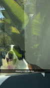 cclaire.bbear1 Altpins Profile Picture