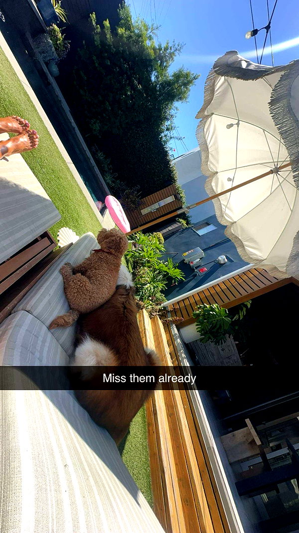 cclaire.bbear1 snapchat image archive image