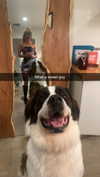 cclaire.bbear1 Altpins Profile Picture