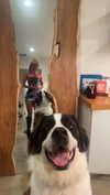 cclaire.bbear1 Altpins Profile Picture