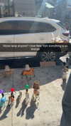 cclaire.bbear1 Altpins Profile Picture