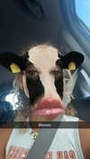 cclaire.bbear1 Altpins Profile Picture