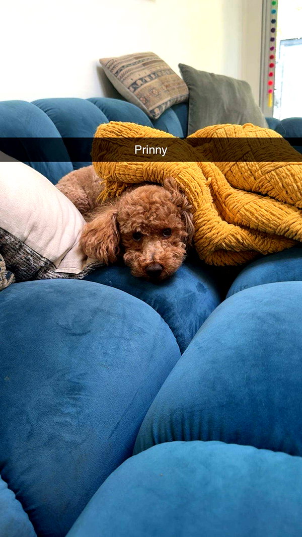 cclaire.bbear1 snapchat image archive image