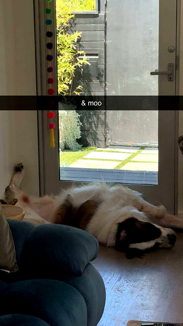 cclaire.bbear1 snapchat image archive image