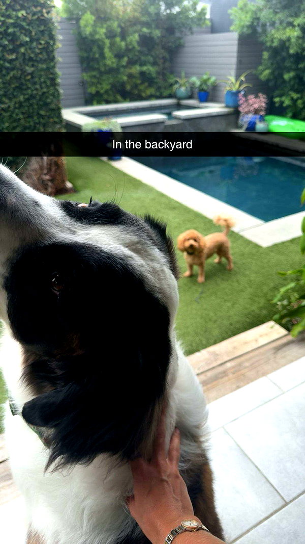cclaire.bbear1 snapchat image archive image