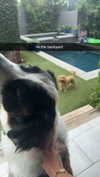 cclaire.bbear1 Altpins Profile Picture