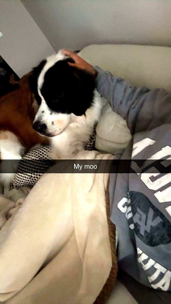 cclaire.bbear1 snapchat image archive image