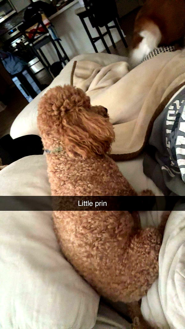 cclaire.bbear1 snapchat image archive image