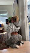 cclaire.bbear1 Altpins Profile Picture