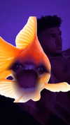 cclaire.bbear1 Altpins Profile Picture