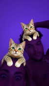 cclaire.bbear1 Altpins Profile Picture