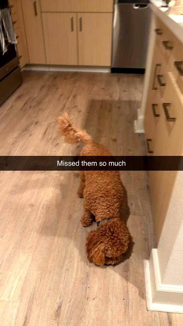 cclaire.bbear1 snapchat image archive image