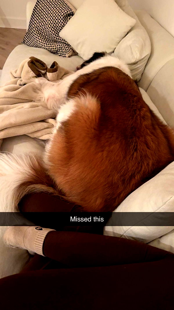 cclaire.bbear1 snapchat image archive image