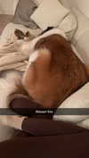 cclaire.bbear1 Altpins Profile Picture