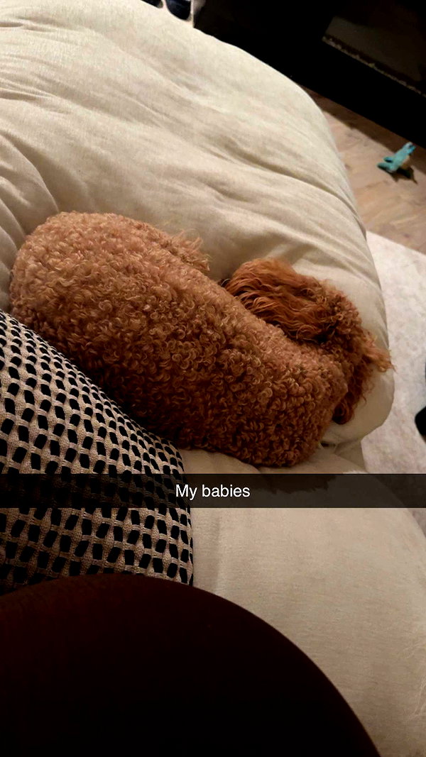 cclaire.bbear1 snapchat image archive image