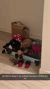 cclaire.bbear1 Altpins Profile Picture