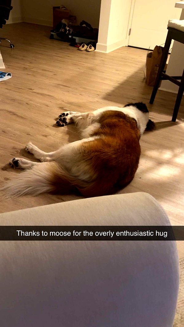 cclaire.bbear1 snapchat image archive image