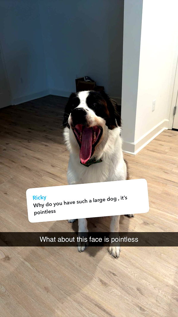 cclaire.bbear1 snapchat image archive image