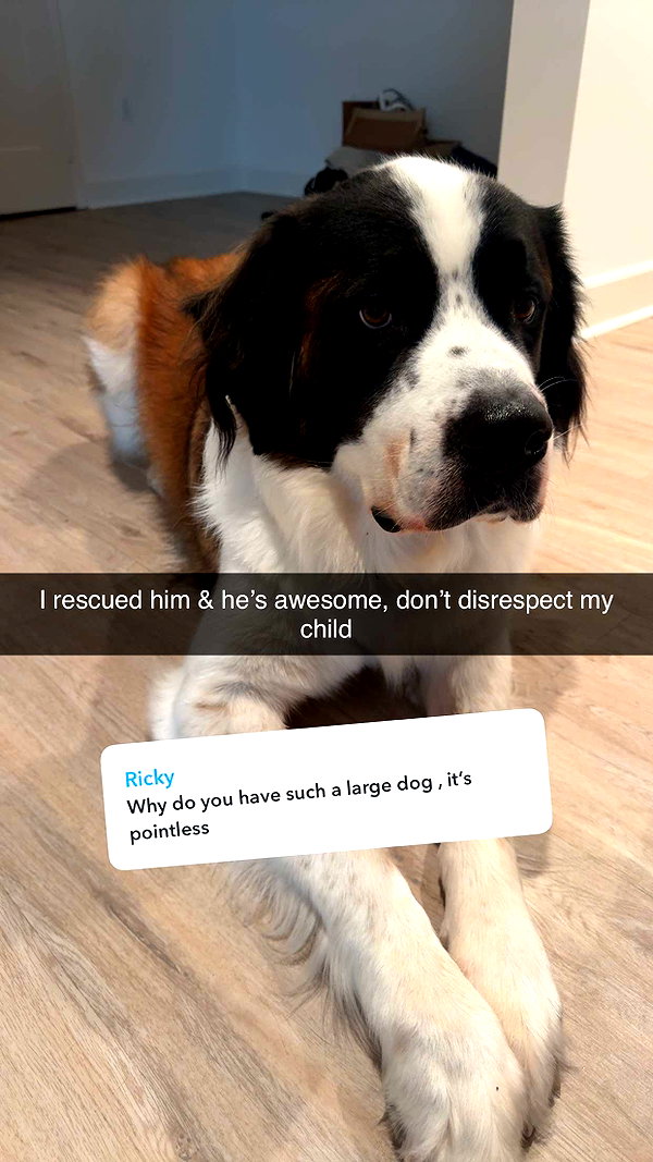 cclaire.bbear1 snapchat image archive image