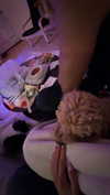 cclaire.bbear1 Altpins Profile Picture