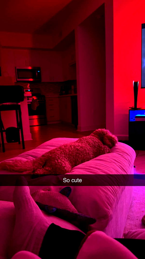 cclaire.bbear1 snapchat image archive image