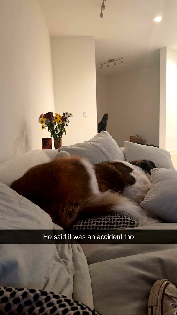 cclaire.bbear1 snapchat image archive image