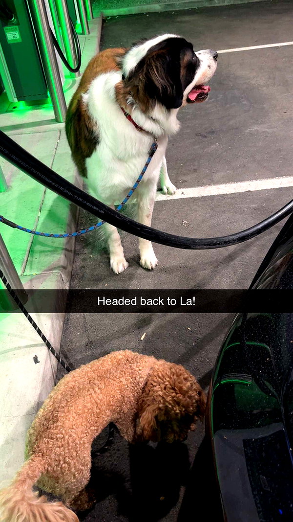 cclaire.bbear1 snapchat image archive image