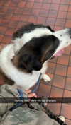 cclaire.bbear1 Altpins Profile Picture