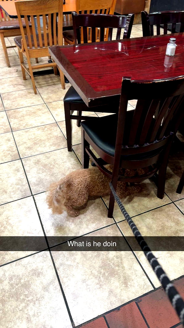 cclaire.bbear1 snapchat image archive image