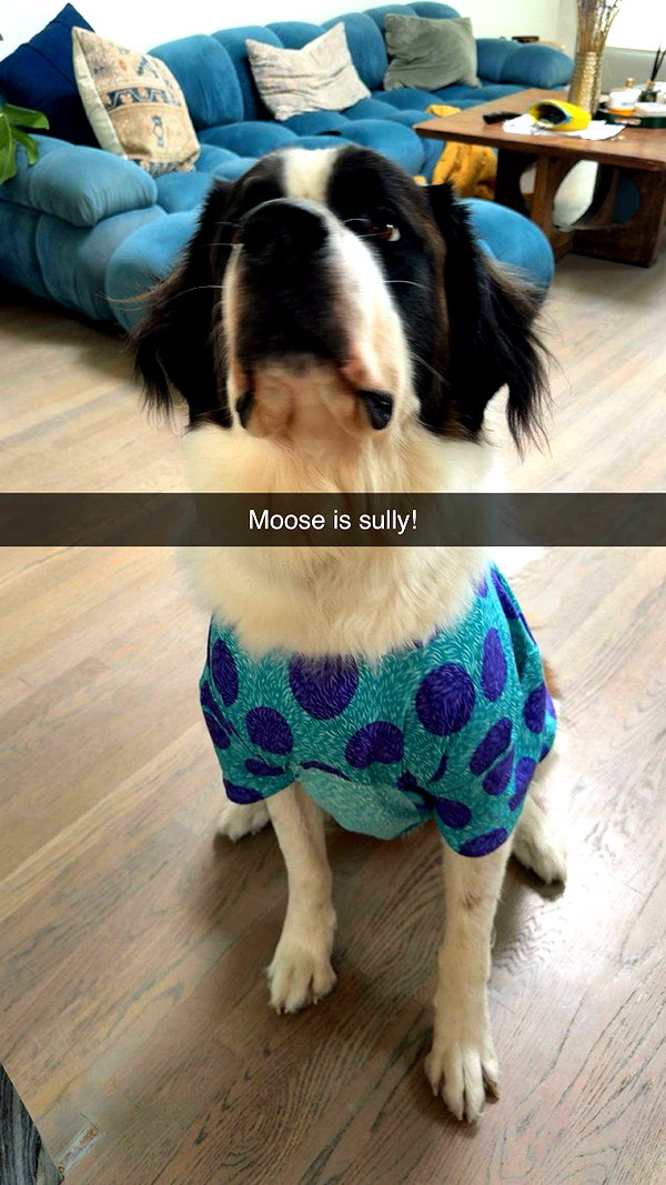 cclaire.bbear1 snapchat image archive image