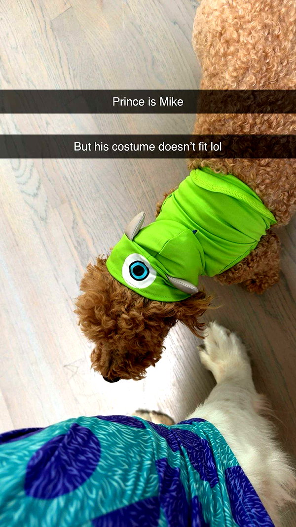 cclaire.bbear1 snapchat image archive image