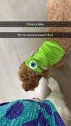 cclaire.bbear1 Altpins Profile Picture
