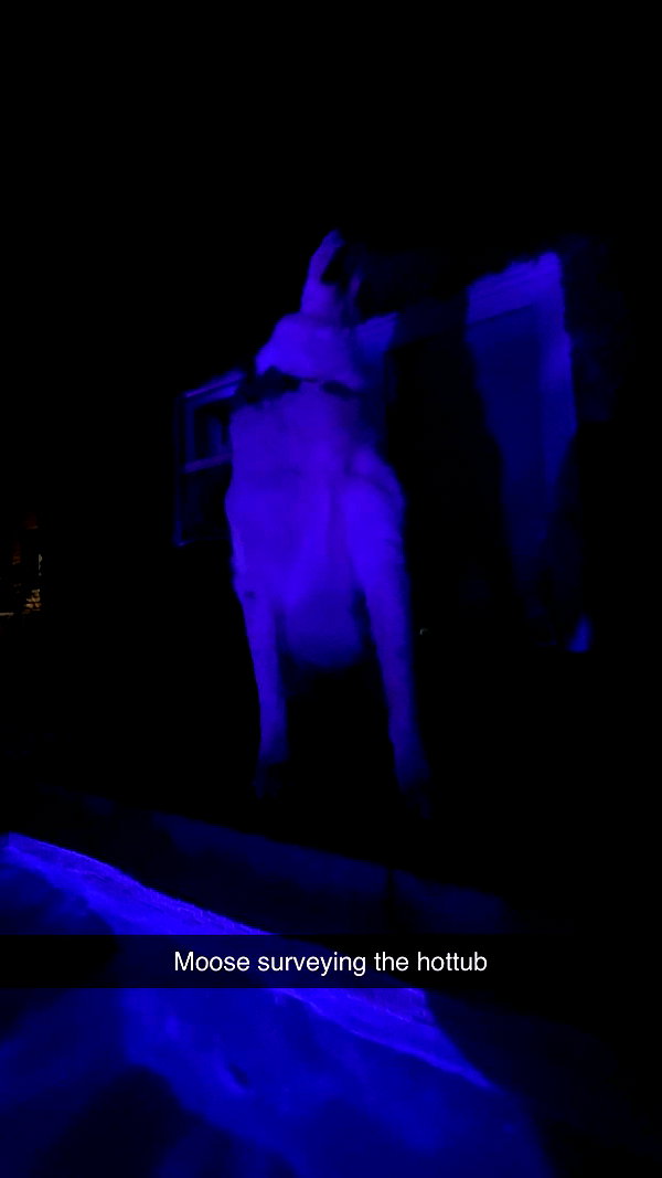 cclaire.bbear1 snapchat image archive image