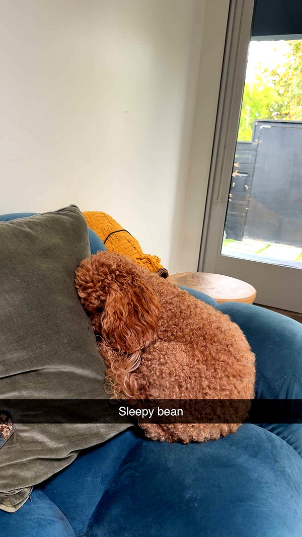 cclaire.bbear1 snapchat image archive image