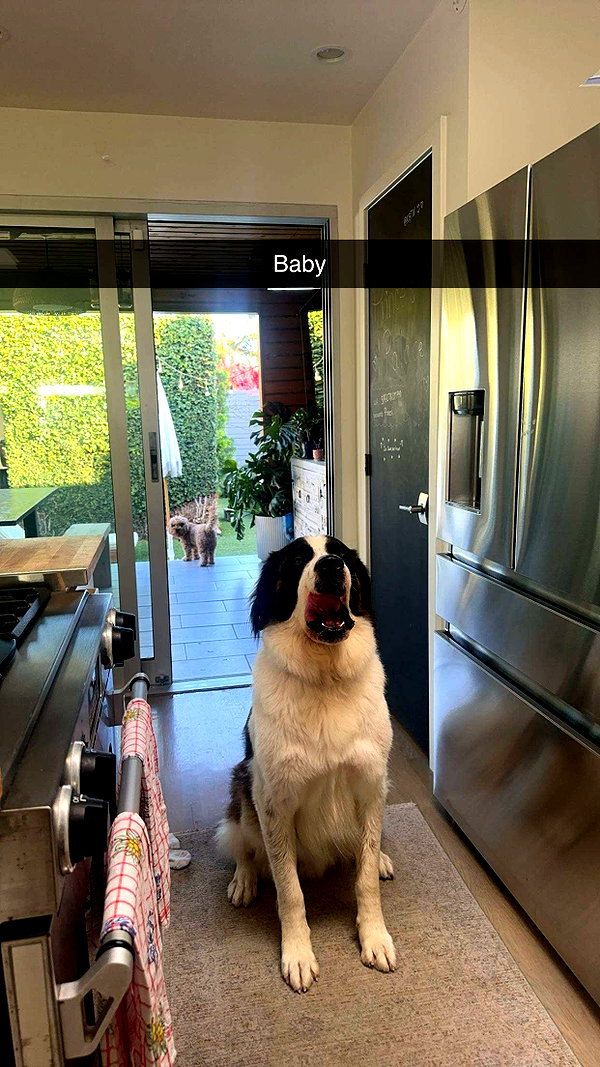 cclaire.bbear1 snapchat image archive image