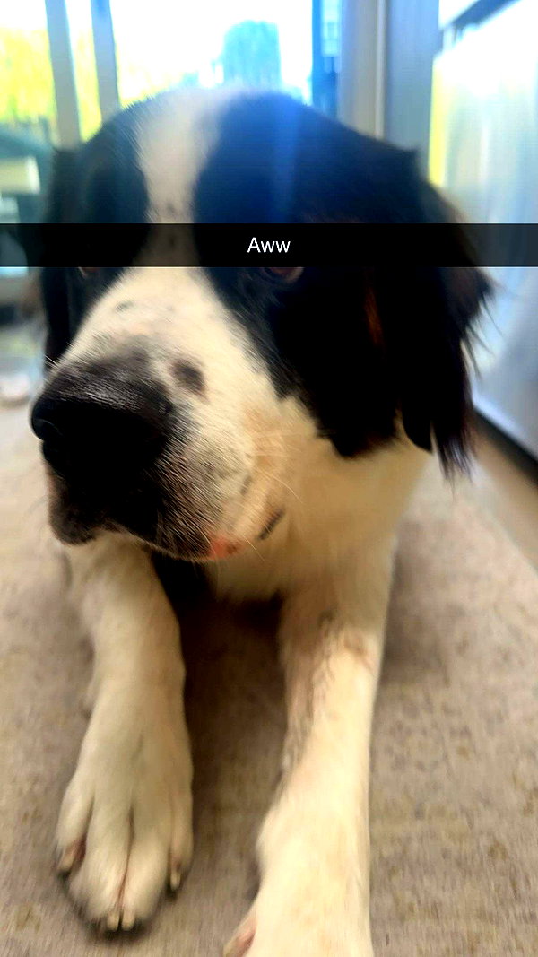 cclaire.bbear1 snapchat image archive image