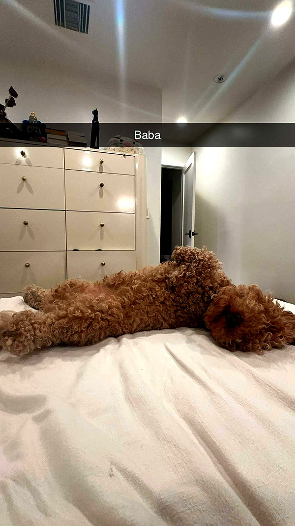 cclaire.bbear1 snapchat image archive image