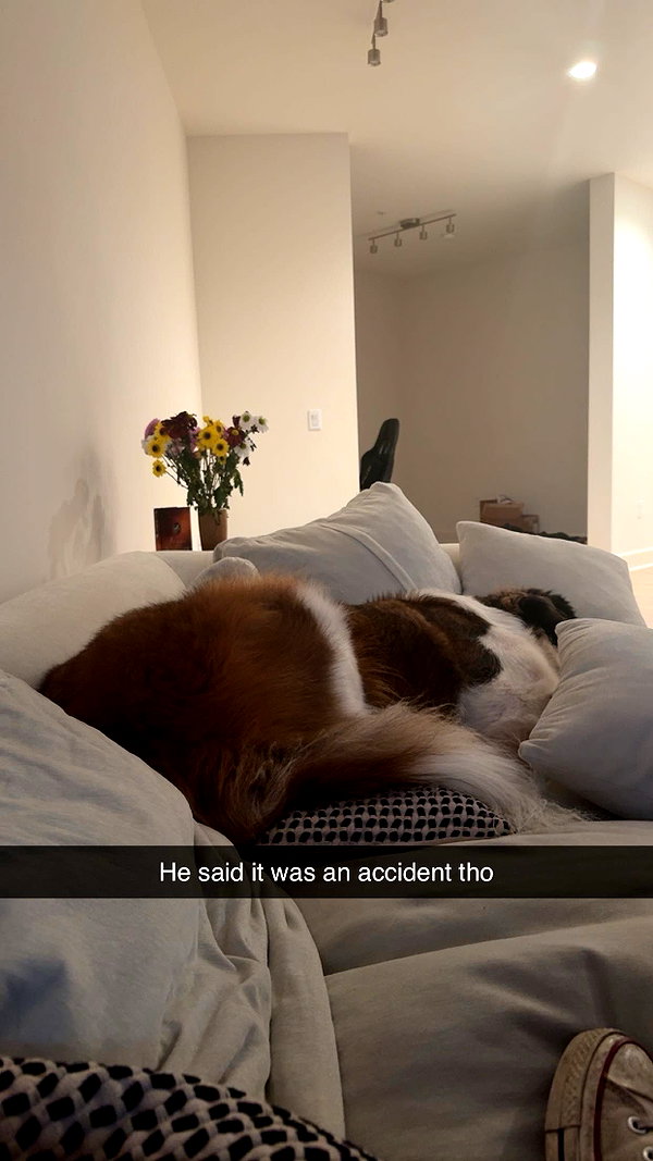 cclaire.bbear1 snapchat image archive image