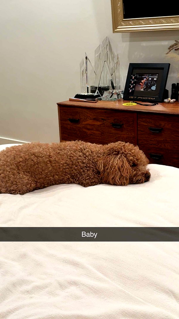 cclaire.bbear1 snapchat image archive image