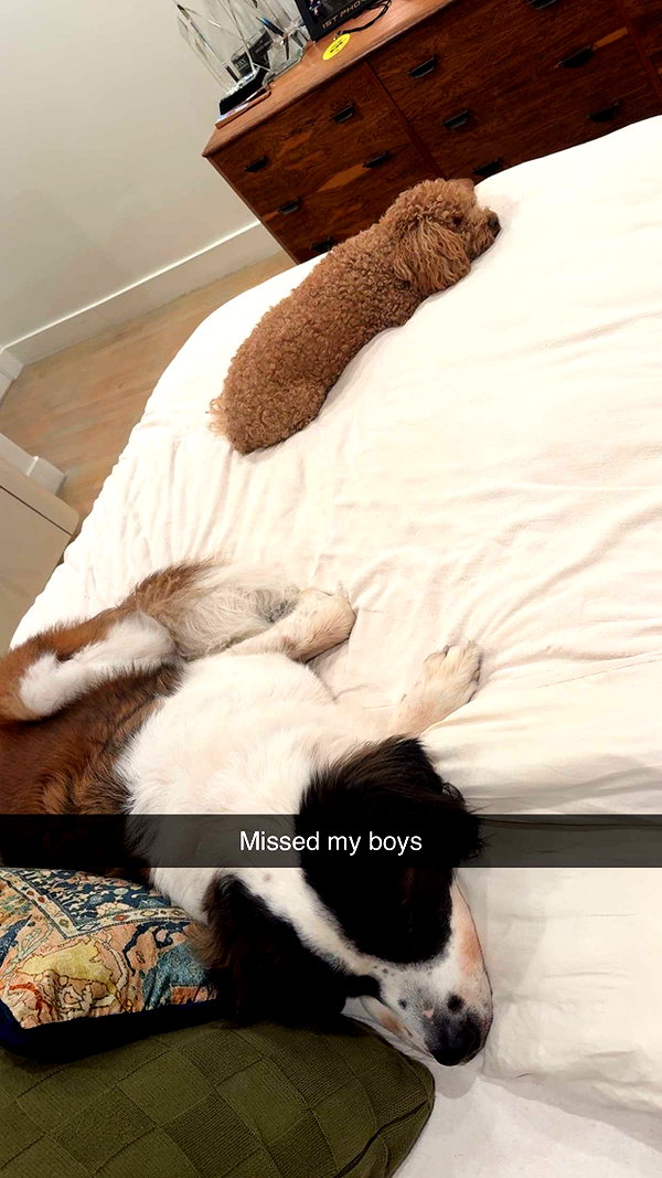 cclaire.bbear1 snapchat image archive image