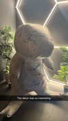 cclaire.bbear1 Altpins Profile Picture