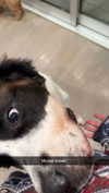 cclaire.bbear1 Altpins Profile Picture