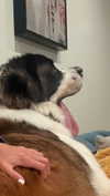 cclaire.bbear1 Altpins Profile Picture