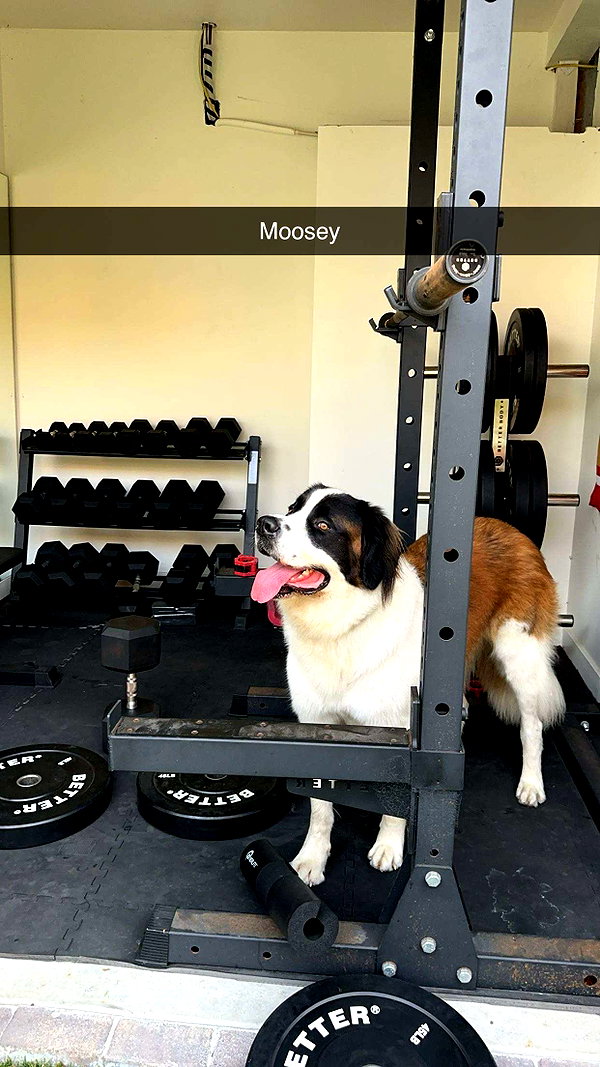 cclaire.bbear1 snapchat image archive image