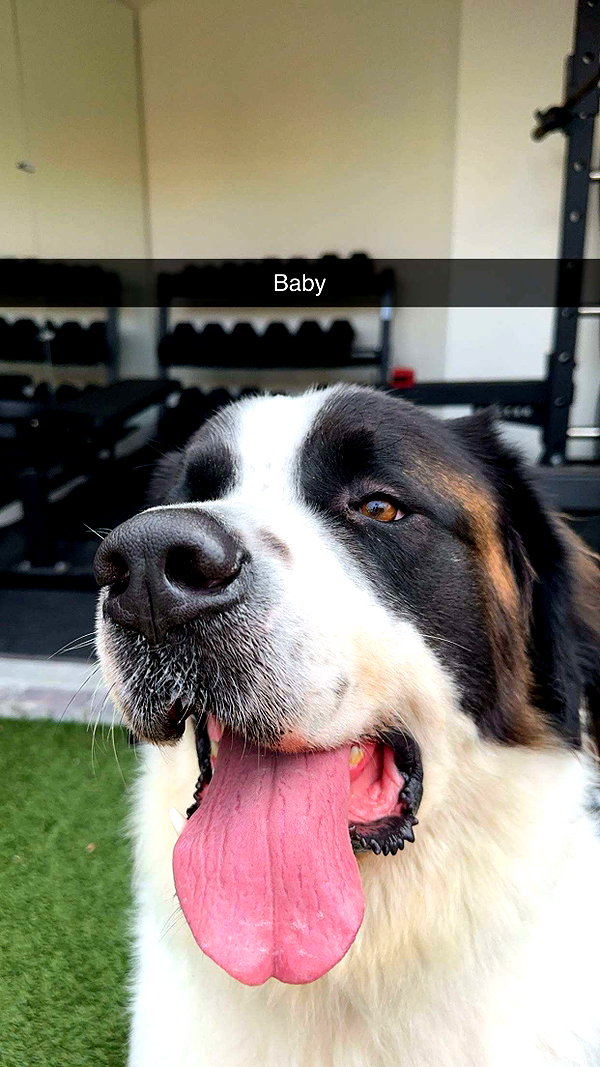 cclaire.bbear1 snapchat image archive image