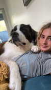 cclaire.bbear1 Altpins Profile Picture