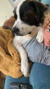 cclaire.bbear1 Altpins Profile Picture