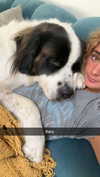 cclaire.bbear1 Altpins Profile Picture