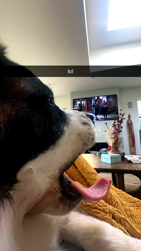 cclaire.bbear1 snapchat image archive image
