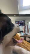 cclaire.bbear1 Altpins Profile Picture